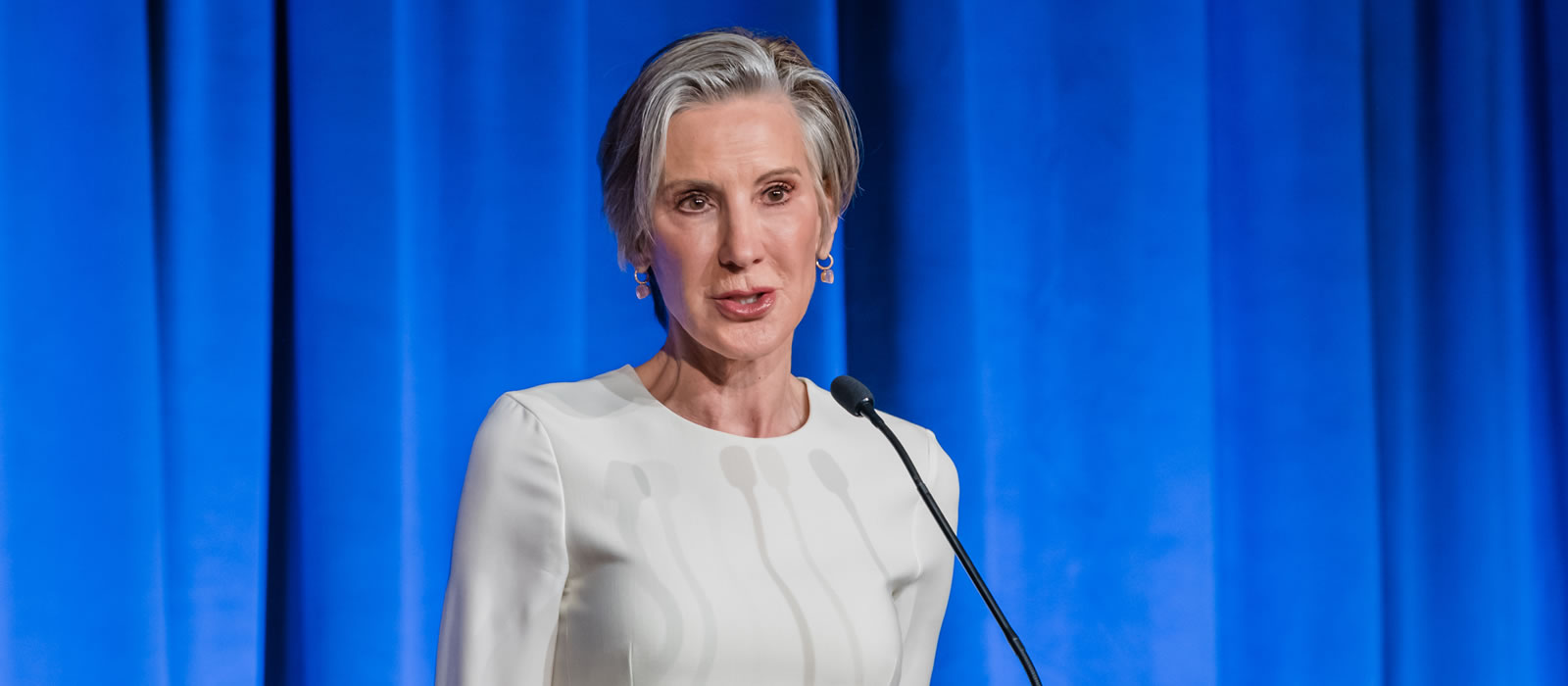 The Virginia American Revolution 250 Commission Names Carly Fiorina as Virginia’s National Honorary Chairperson
Photo credit: Kathy Scott