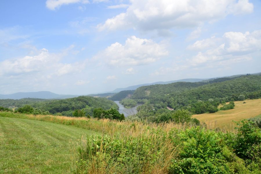 SWVA 193 7d7db76a5e7b6901b684117f8ce96607