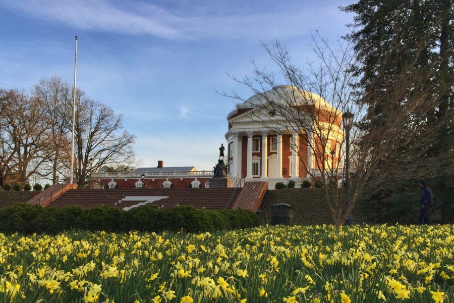 Spring Flowers @ UVA a2f338d3f87d06957fad2fbfd6d6b19b