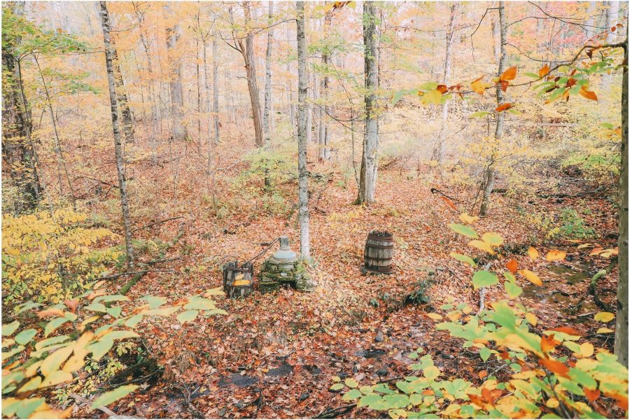 Moonshine Still in the Woods d2fa8f687fafc5aef204ae918181baa0 Moonshine Still in the Woods d2fa8f687fafc5aef204ae918181baa0