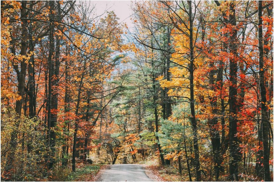 Scene Drive View 74b5bce98b6a4b2d38f19583ba531db4 Scene Drive View 74b5bce98b6a4b2d38f19583ba531db4