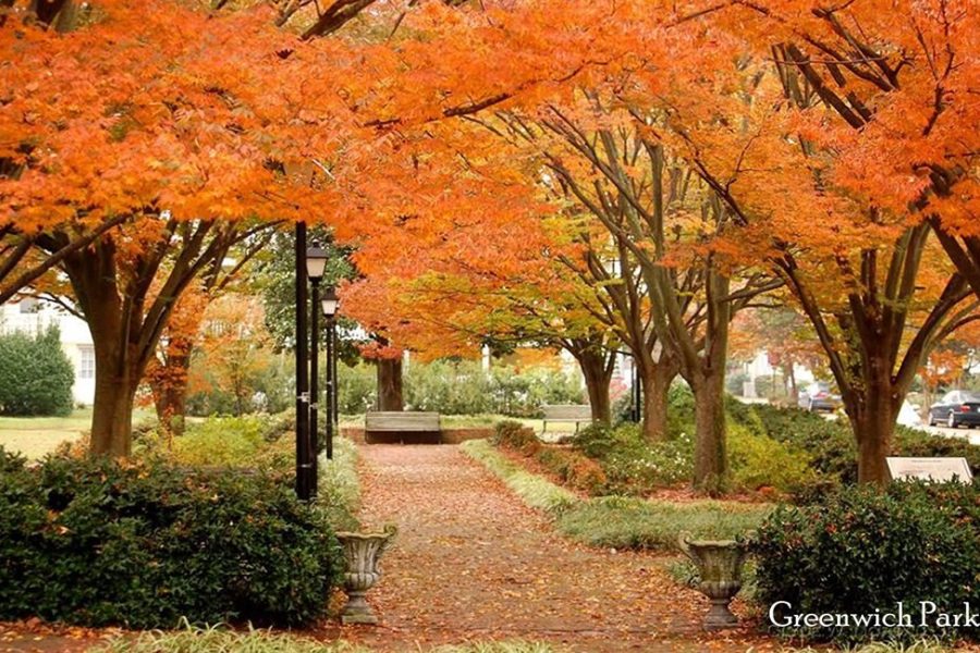 3 Greenwich Park f0ca255b743ef90a04cf0bbacc92e45b 3 Greenwich Park f0ca255b743ef90a04cf0bbacc92e45b