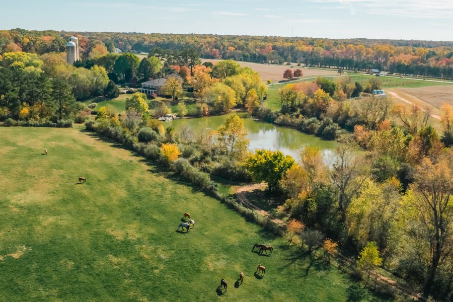 102623 0380 visit spotsy 23 a5c890dec3616525b9224d7dd1864345