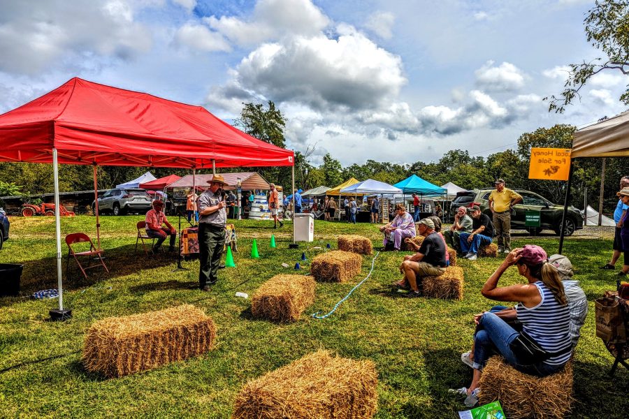 306636893 608912290900114 4776638285948150291 n 306636893 608912290900114 4776638285948150291 n