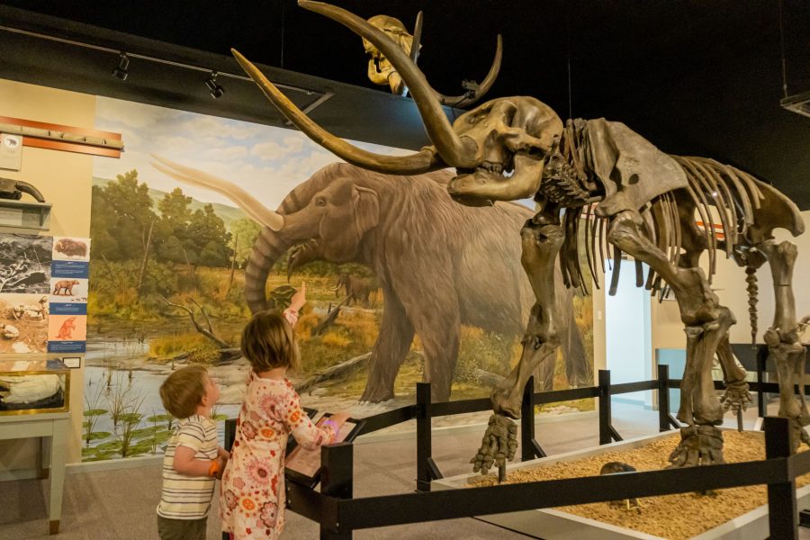 Museum of the Middle Appalachians ef30be9dc0ea640084fe3d47044da02d