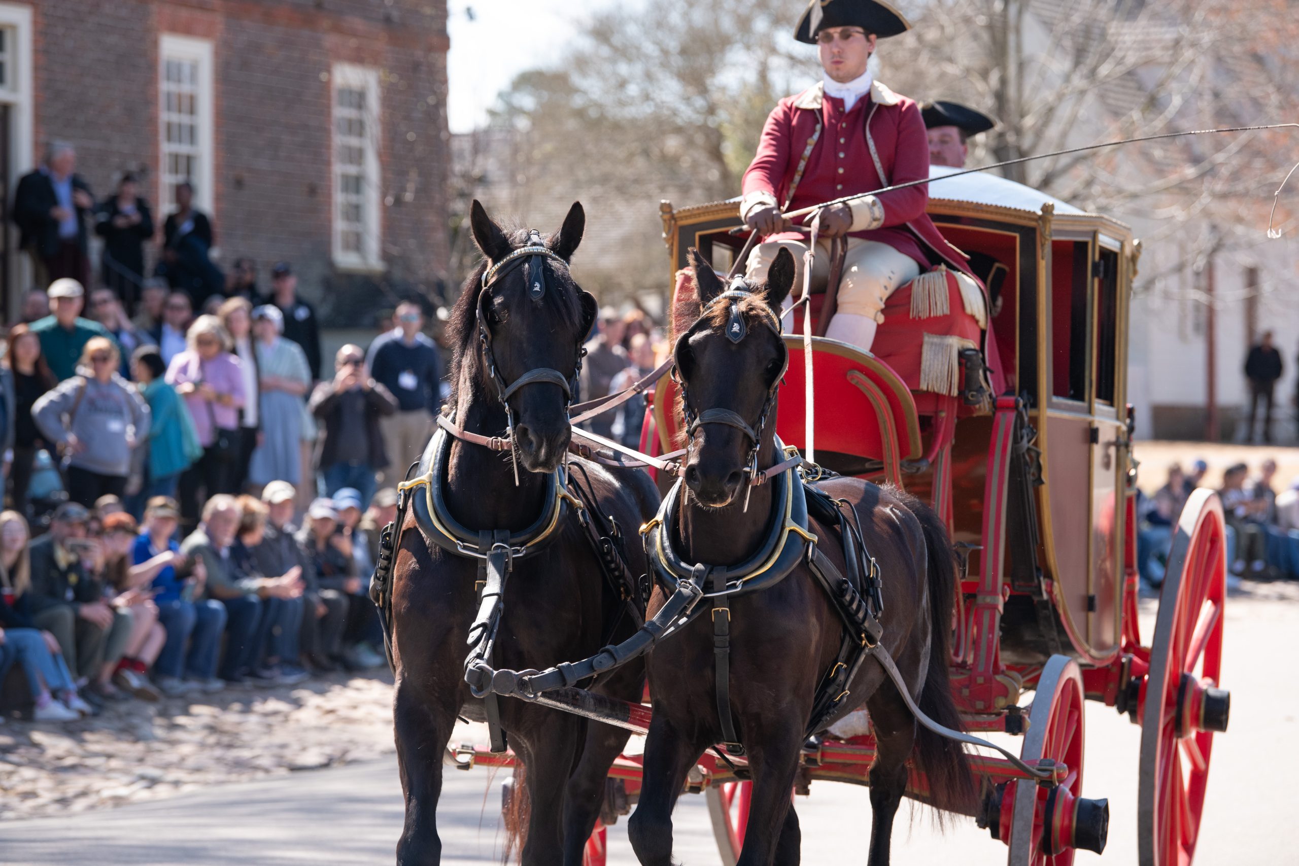 A Common Cause To All 2024