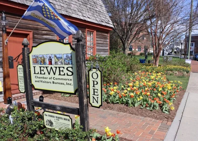 Tulips in Lewes, Delaware, lead a path to America’s 250th birthday
